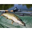 Mulinetă de baitcasting Filstar Sting 101L
