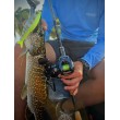 Mulinetă de baitcasting Filstar Sting 101L
