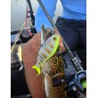 Mulinetă de baitcasting Filstar Sting 101L