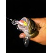 Воблер Sea Buzz Chub Bug