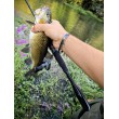 Воблер Sea Buzz Chub Bug