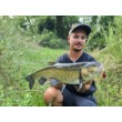 Воблер Sea Buzz Chub Bug