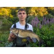 Воблер Sea Buzz Chub Bug
