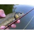 Въдица FilStar Nomad Fly