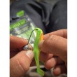 Κεφαλή jig με γάντζο Filstar Eco Pack 25 τεμ.