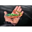 X-Rap Otus Wobbler
