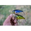 Rapala BX Brat