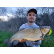 Rattlin' Hornet Shallow Wobbler
