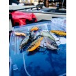 Воблер Rapala X-Rap Twitchin' Shad