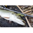FilStar Venom Rod