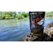 FilStar Premium Carp - Hot Fish