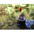 Воблер Sea Buzz Chub Bug