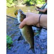 Воблер Sea Buzz Chub Bug