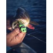 Wobbler BX Skitter Frog