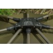 Cort Fox Frontier X+