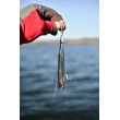Rapala Flash-X Dart wobbler