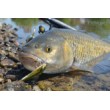 Wobbler Minnow - scufundându-se