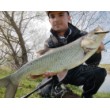 Wobbler Minnow - scufundându-se