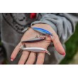 X-Rap Wobbler