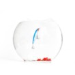 X-Rap Wobbler