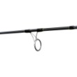 Lansetă de pescuit FilStar Carp Dynamics