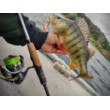 Fibră tricotată Lazer PE L8 Evolution Verde Fluo