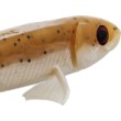 Westin Twinteez Pelagic V-Tail