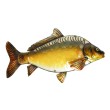 Декорация за стена EuroCatch 3D шаран