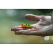Wobbler Rapala X-Light Pop