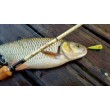 Wobbler Rapala X-Light Pop