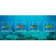Salmo Rattlin' Executor SDR Wobbler