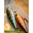Salmo Rattlin' Executor SDR Wobbler