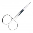 Scissors - Small