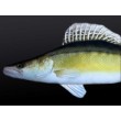 Възглавничка Zander