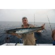 Sails Call Lure