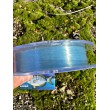 Монофилно влакно Lazer Fortex Mare
