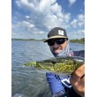 Shadow Rap Shad Wobbler