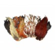 Scalp la gâtul cocoșului