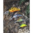 Rattlin' Hornet Wobbler - Floating