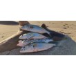 Wobbler Sea Buzz Panic Tail 95F Γαρίδες