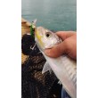 Воблер Sea Buzz Humpback