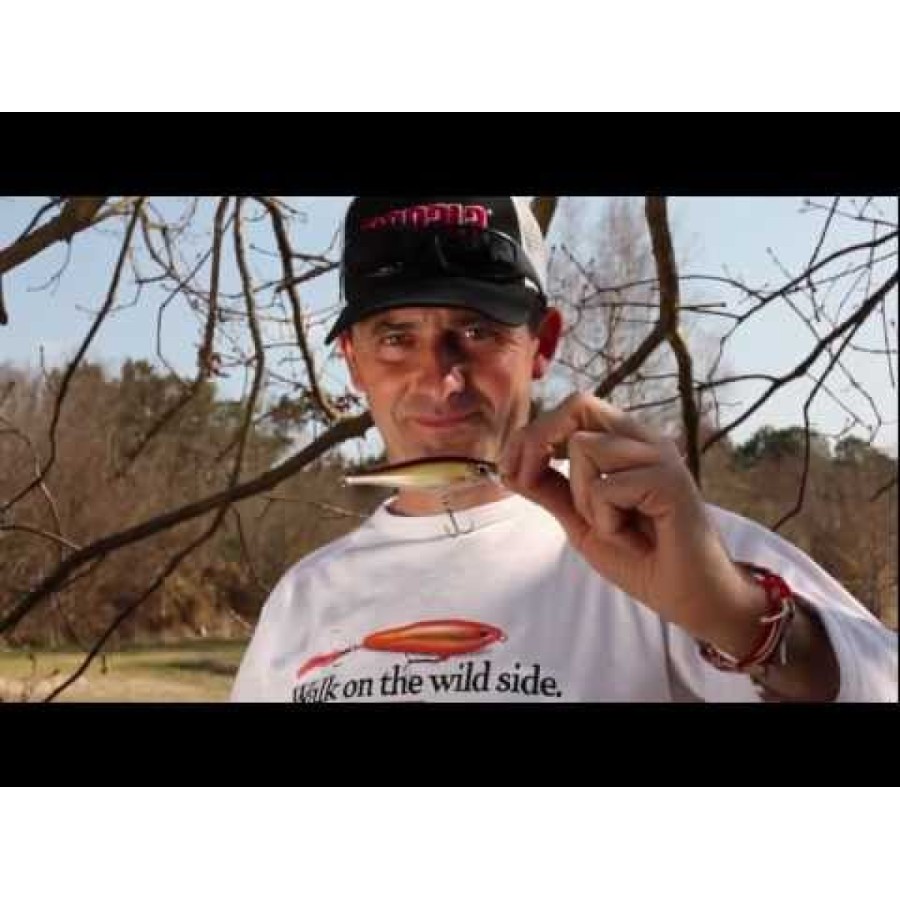 Wobbler BX Minnow