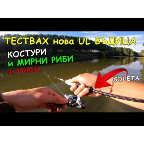 Sea Buzz TJ Minnow Wobbler
