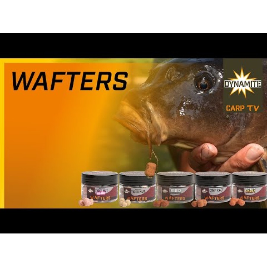 Dynamite Baits CompleX T Wafter Dumbells