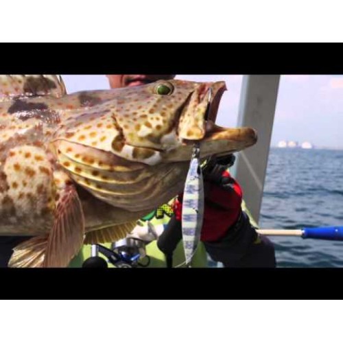 Пилкер Storm Gomoku Koika Jig