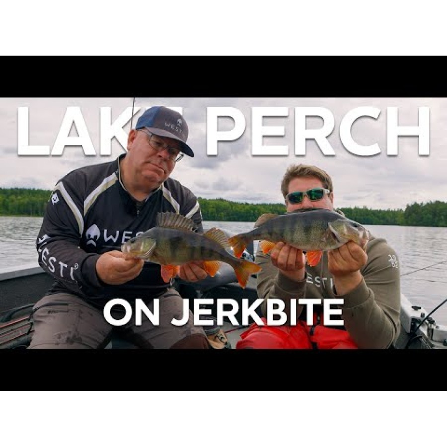 Westin Jerkbite SR