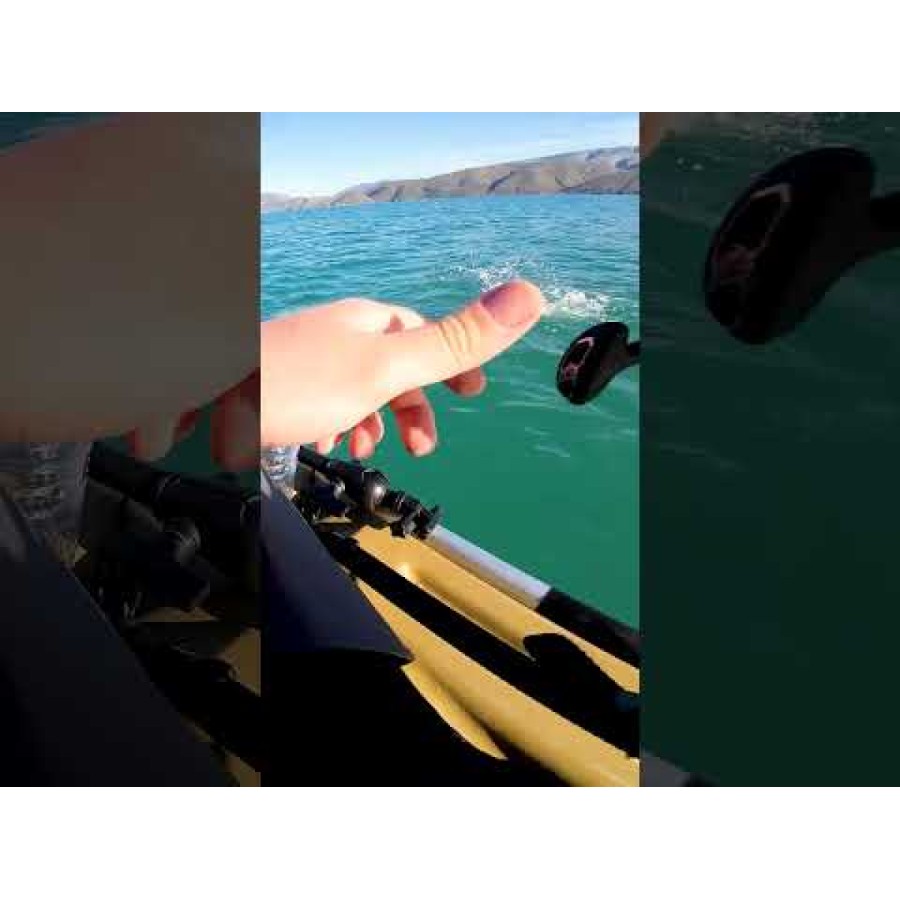 Воблер Sea Buzz Humpback
