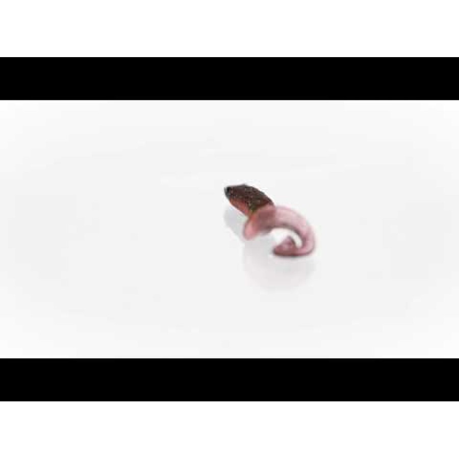 Силикон Westin RingTeez Curltail