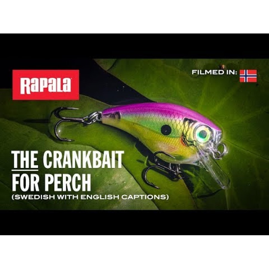 Rapala BX Brat