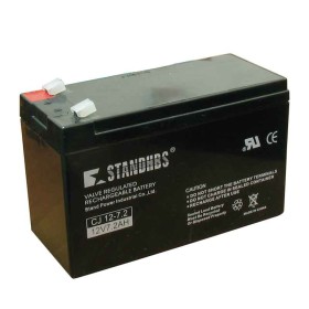 Battery CJ 12V